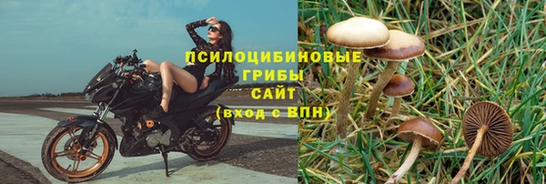 эйфоретик Вязники